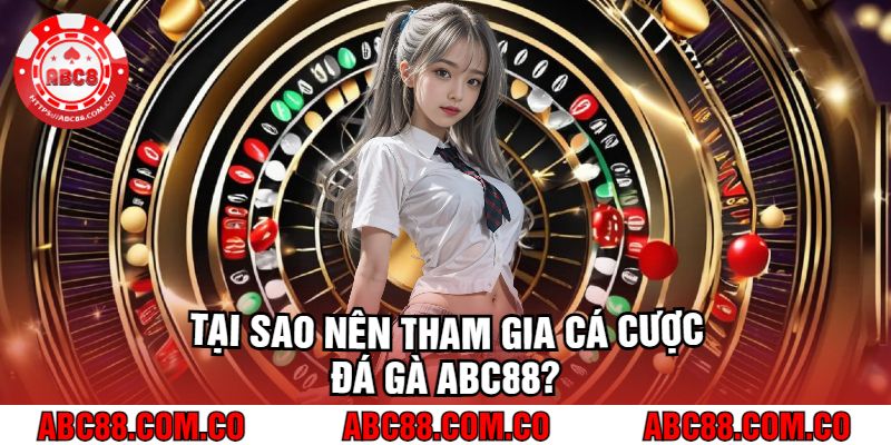 Tại Sao Nên Tham Gia Cá Cược Đá Gà abc88?