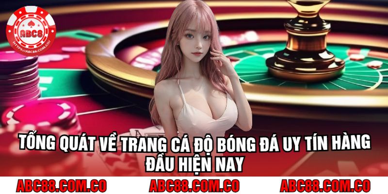 Tổng Quát Về Trang Cá Độ Bóng Đá Uy Tín Hàng Đầu Hiện Nay